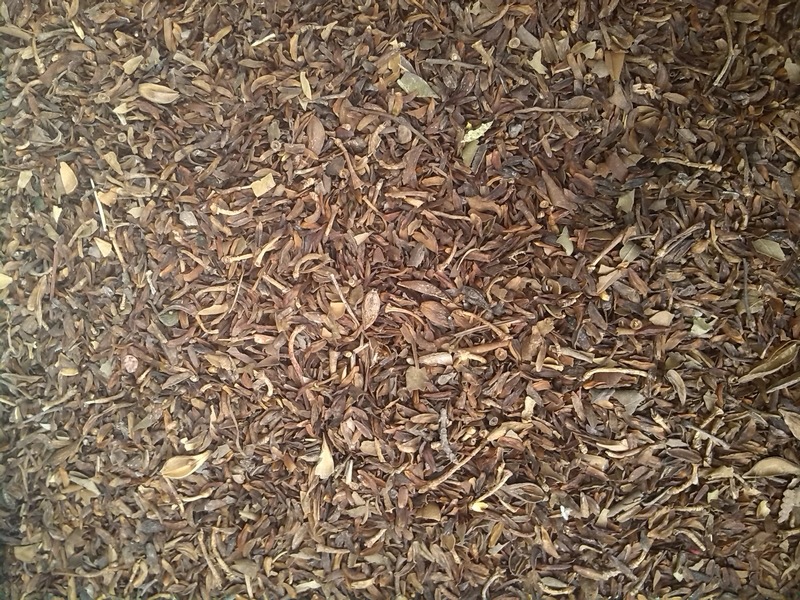 【连翘籽 药材种子育苗 天然黄翘籽】价格,厂家