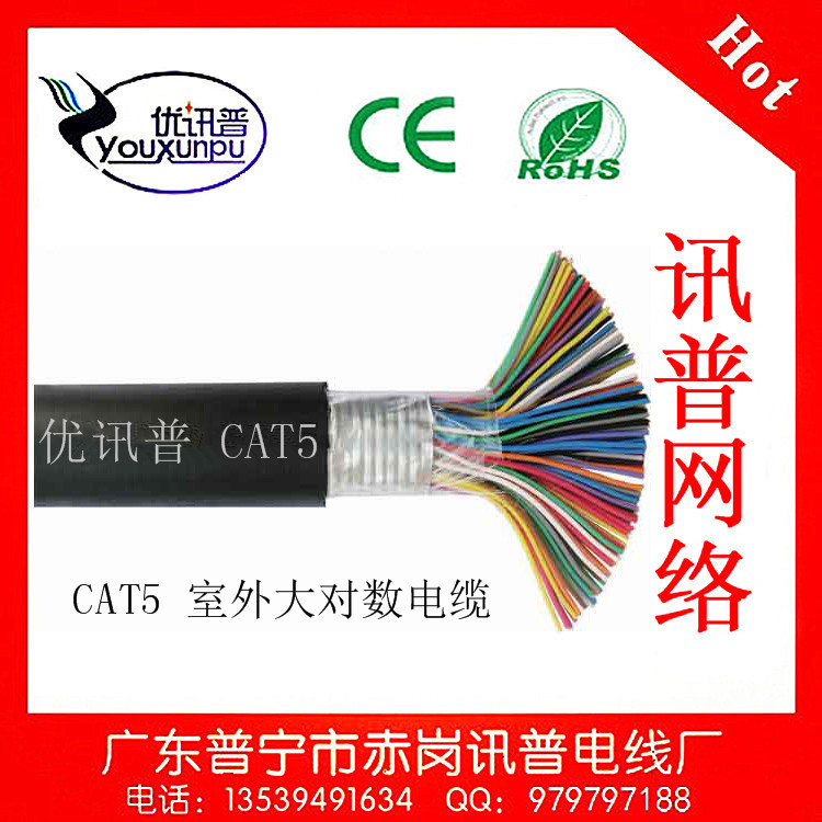 cat5 室外100对_副本