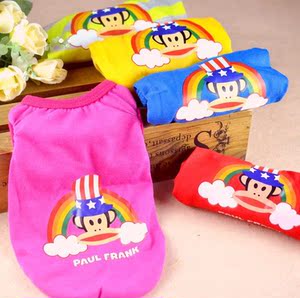 【小型泰迪犬】小型泰迪犬价格\/图片_小型泰迪