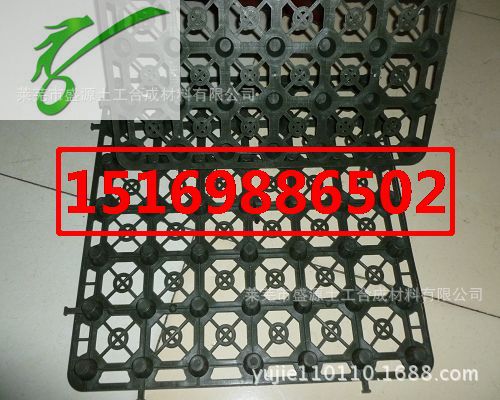 P1020105