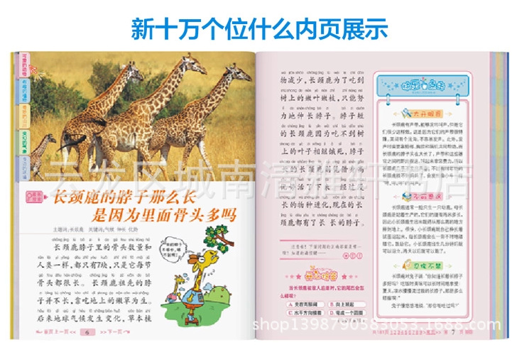 书籍-畅销童书 新十万个为什么(共4册儿童版) 彩