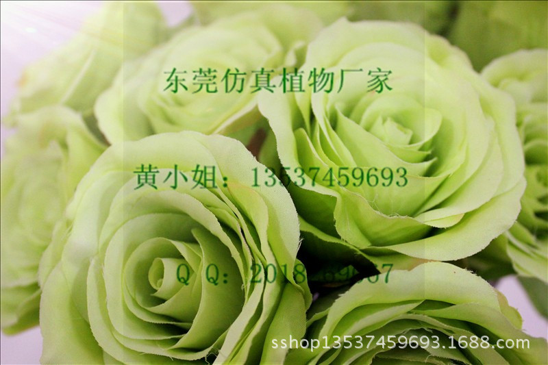 yf hq075 7头幸福玫 绿色 (4)