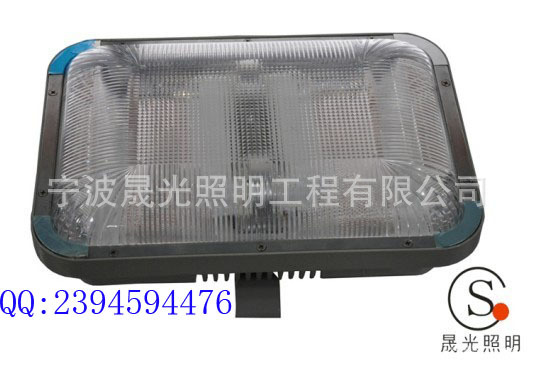 SG-NFC9175长寿顶灯1副本1