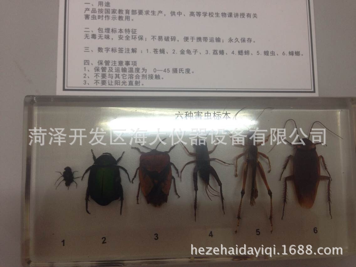 六害昆虫包埋标本