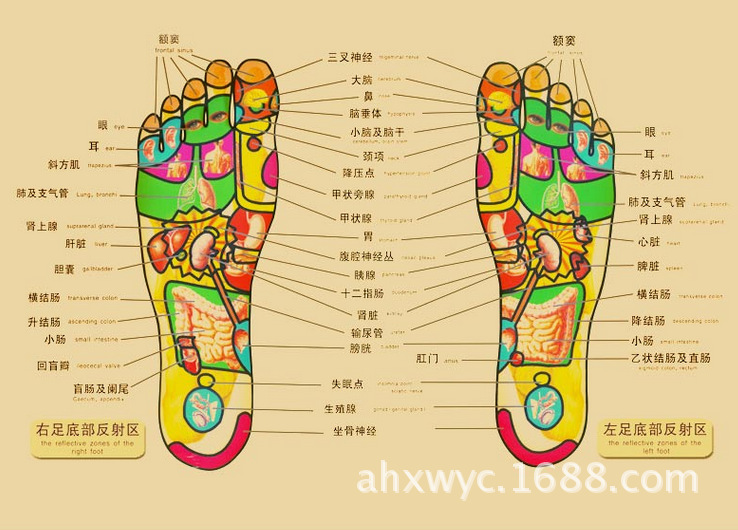 供应足浴药包 纯中药配方 痛风关节炎 头痛 血瘀足痛