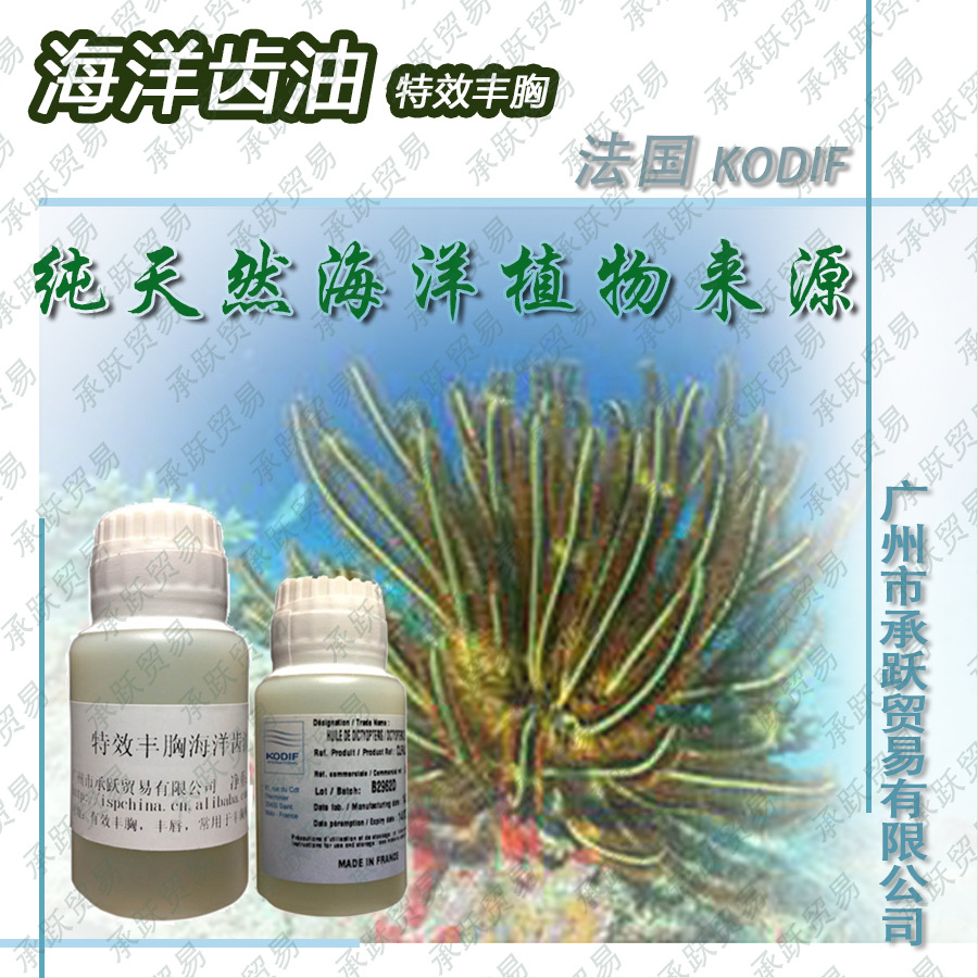 海洋齿油3