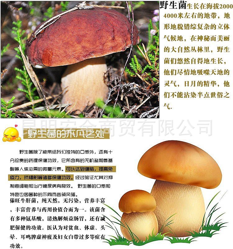 品世散稱雞樅菌250克 3口味 云南特產(chǎn)即食野生菌休閑零食品 批發(fā)