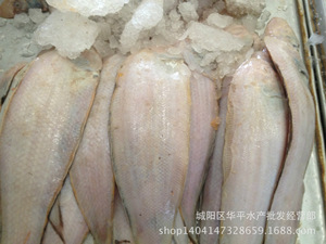 【龙利鱼价格】龙利鱼价格价格\/图片_龙利鱼价