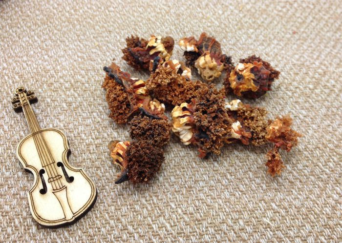 供应 干海参花 纯野生 海参肠 海参籽250g 干货