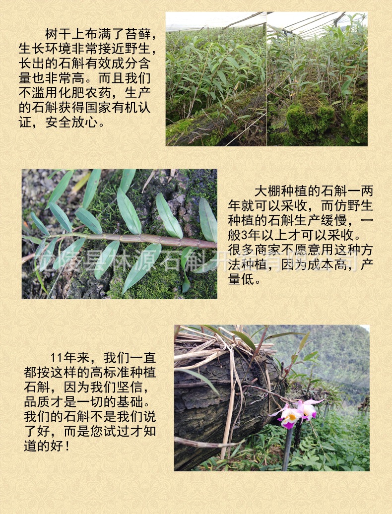 基地二