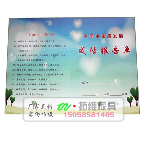 高中生发展报告,自我评价300~600字,内容真实