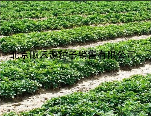 QQ图片20131125190738