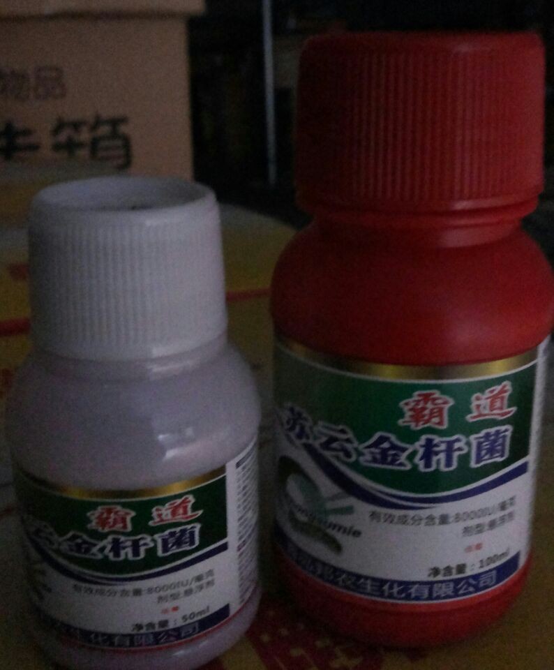 糊剂-Apexit& reg; Plus 氢氧化钙根管充填糊剂--阿