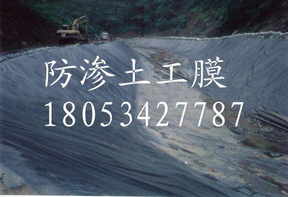 防渗土工膜厂家_副本