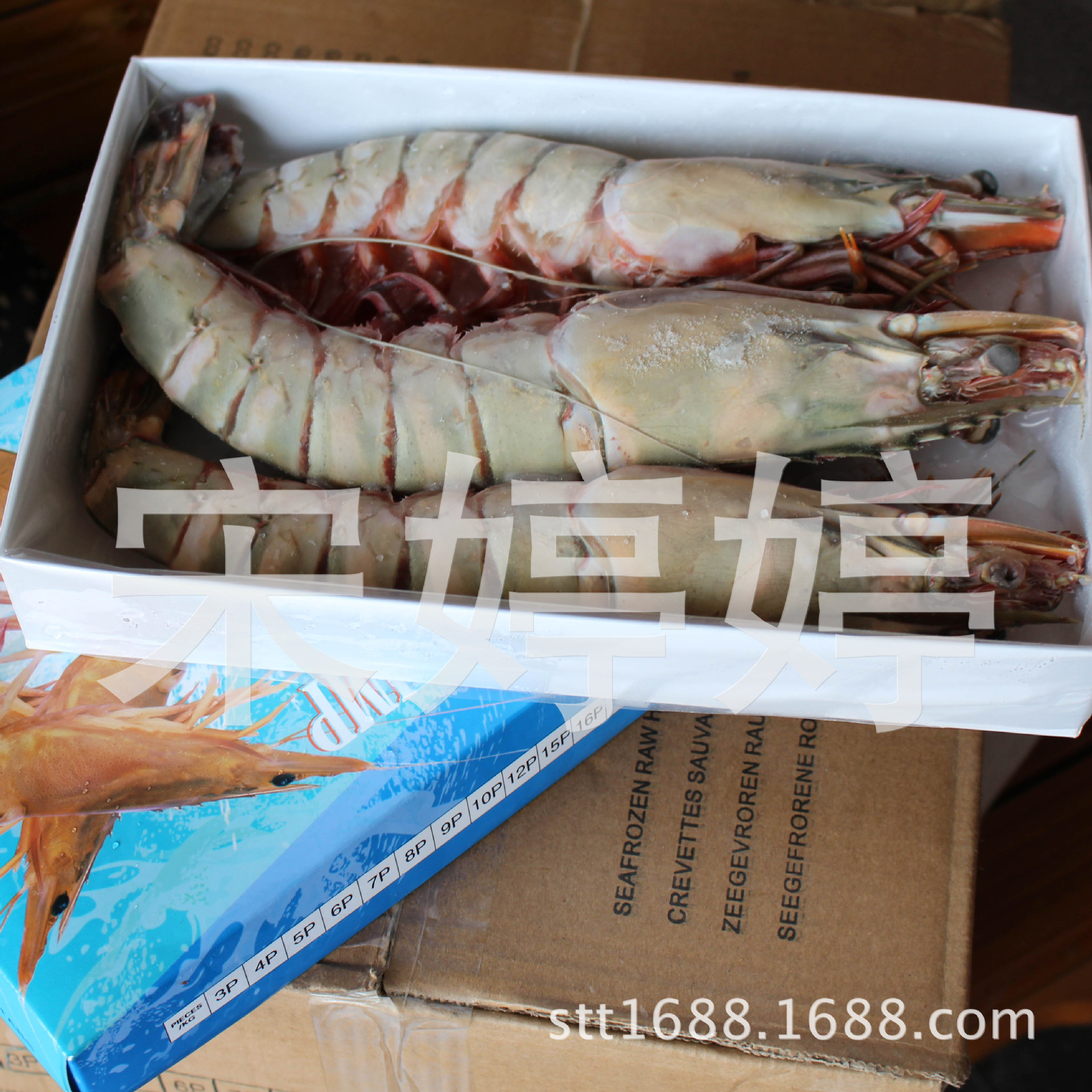 长期供应进口缅甸黑虎虾 老虎虾 酒店特供 海鲜礼品 虾类批发