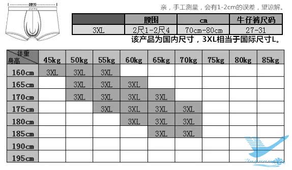 3XL成品