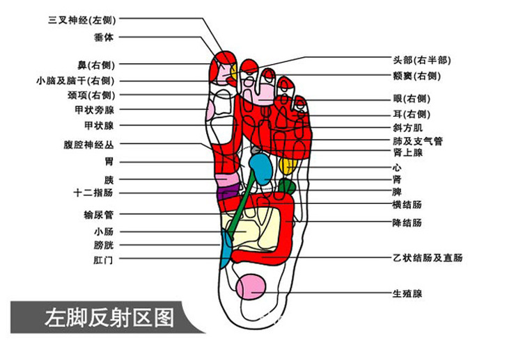 QQ截圖20140813164941ETRFEGBFD_副本