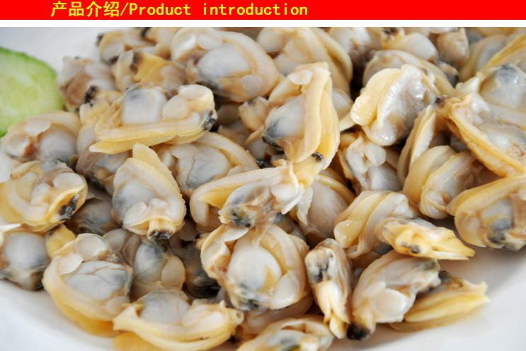 冷冻粗加工水产品-冷冻水产品海产品海鲜批发 天然原产 蛤蜊肉 花蛤肉-冷冻粗加工