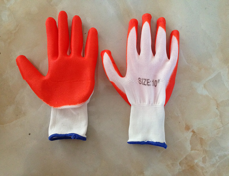 恒远照片 013_副本