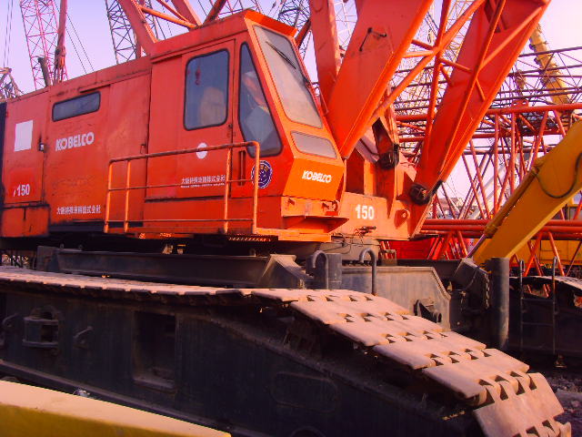 SNV31876