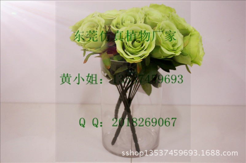 yf hq075 7头幸福玫 绿色