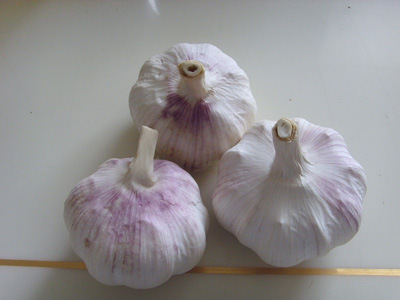 大蒜消毒加纯高粱酒活血 112岁名将的饮食养生