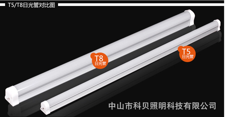 T8 T5对比