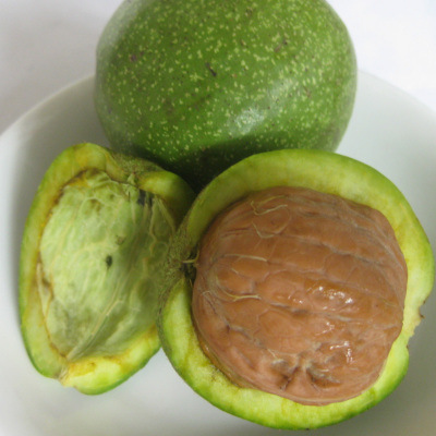 2014年新薄皮核桃,产地直批,一件5kg