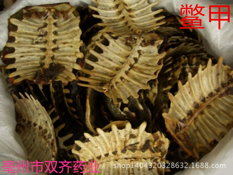 中药材批发 制鳖甲/炒鳖甲/炙鳖甲 醋鳖甲 滋阴潜阳 软坚散结