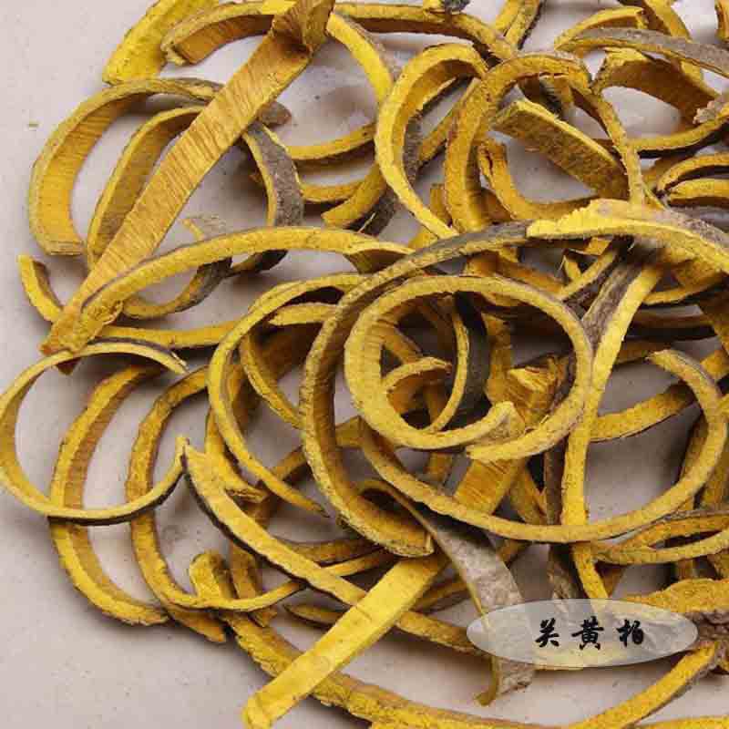 川黄柏-询价产品:国家保护稀有中药树种黄柏树