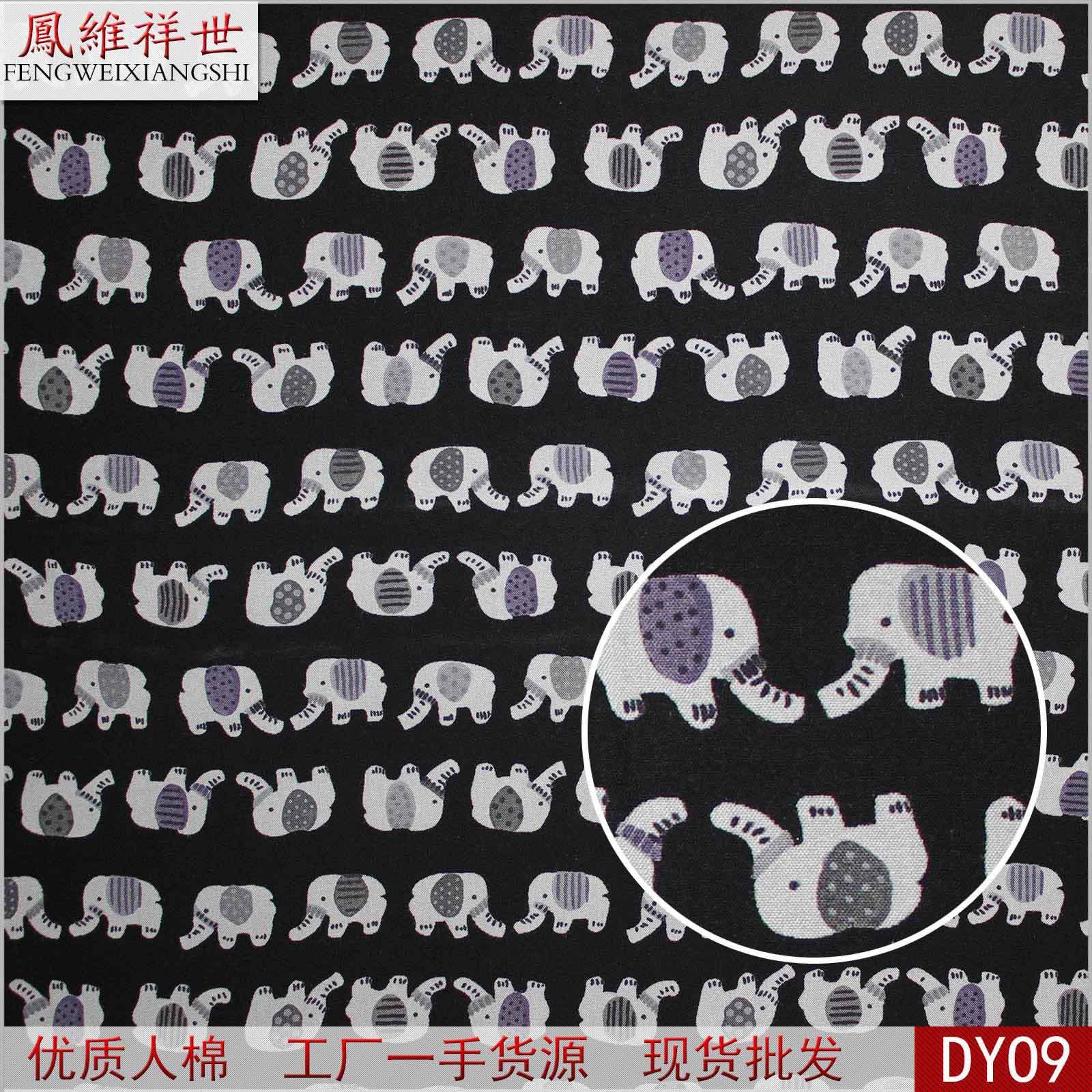 dy09