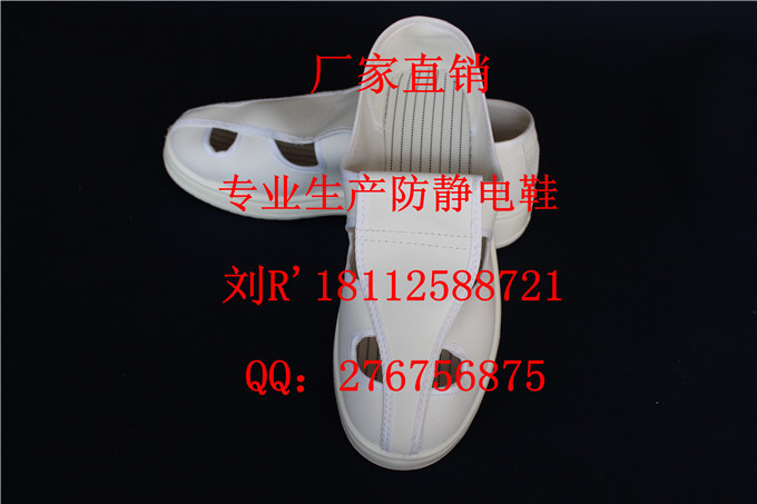 照片 028