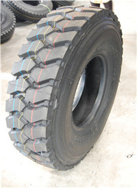 面对当今新疆时局动乱问题,希望我们的政府能