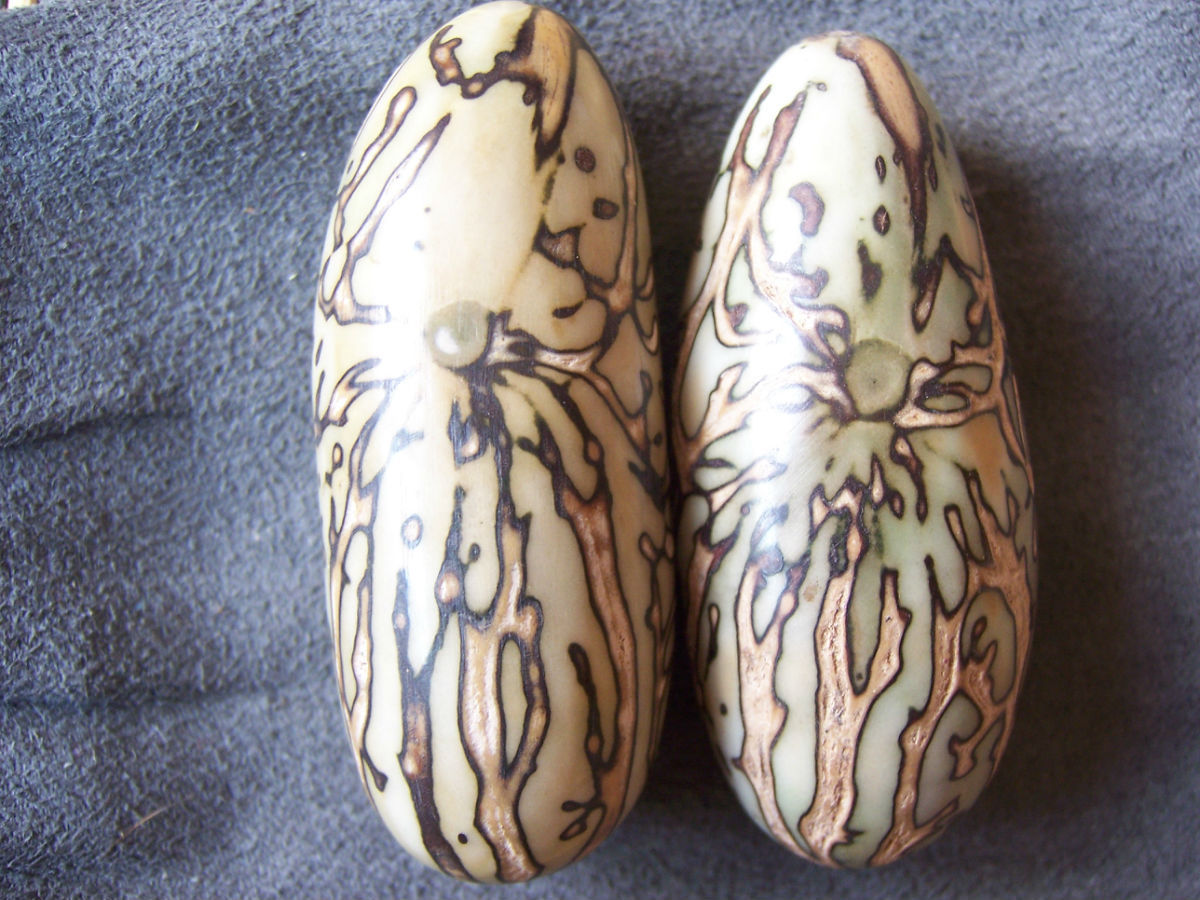 【千眼菩提子,非洲进口原果,来自非洲的稀有极