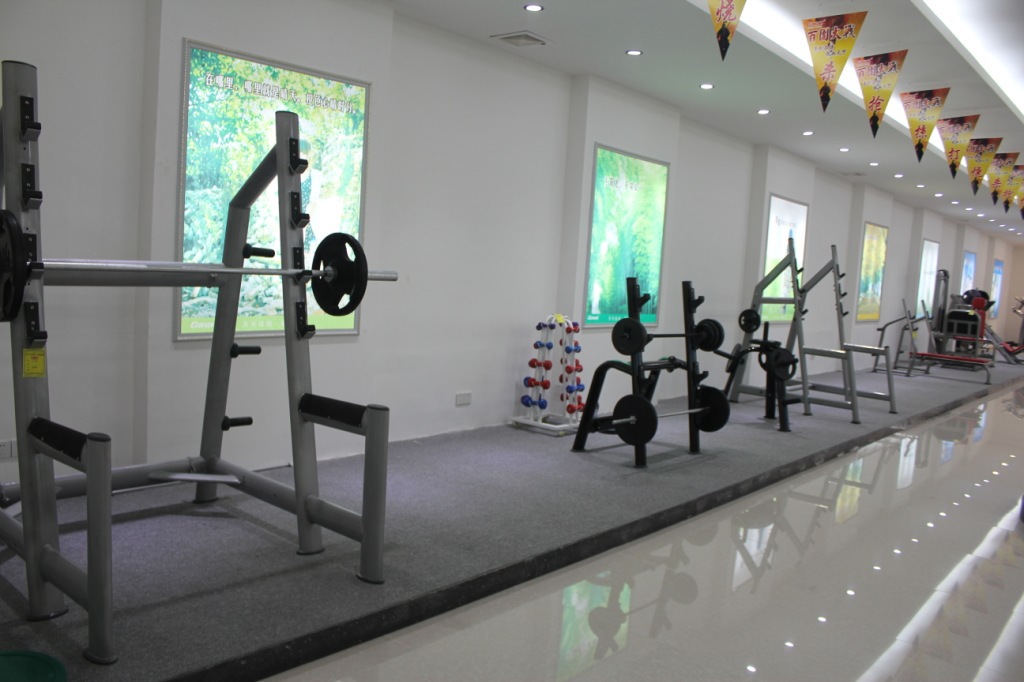 健身路径-家庭健身器材 健身房俱乐部健身器材