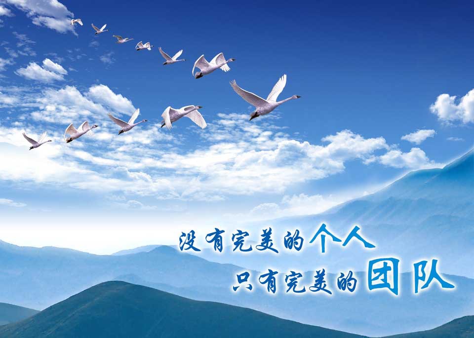 南京拓展训练心得:信任与团队共存_xytuozhanx