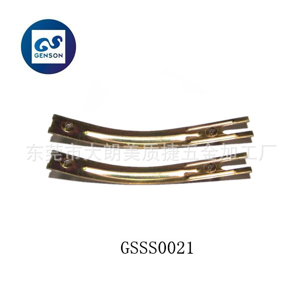 GSSS0021
