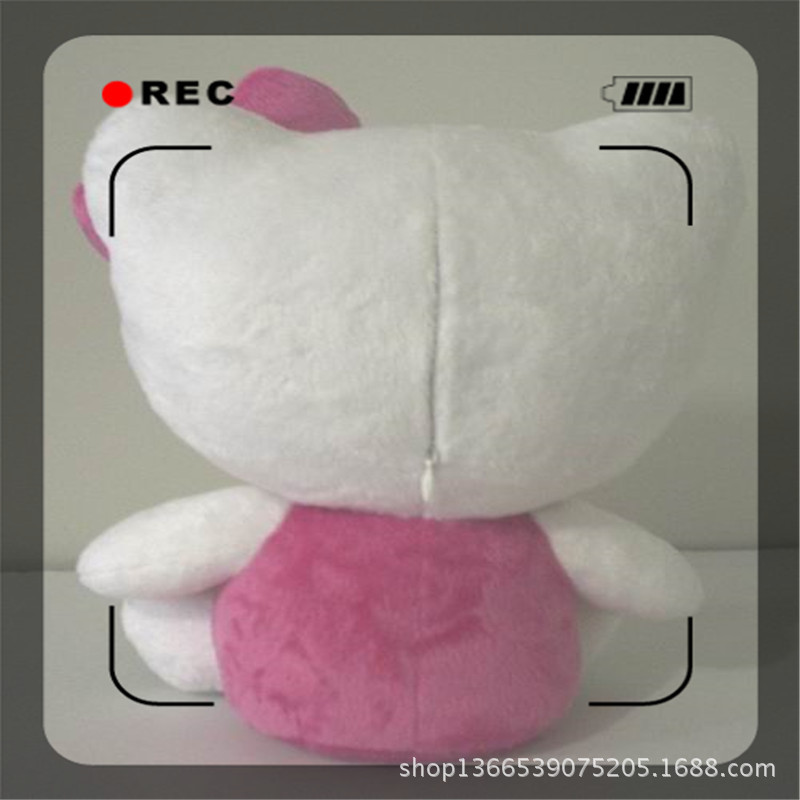 Y-B08075    KT猫MP3 (2)