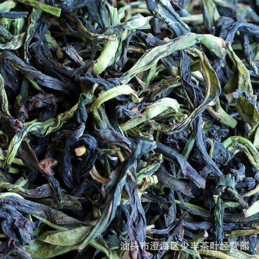 广东高山茶,凤凰单丛 茶叶直销,精选抽湿 竹叶芝兰 新茶上市