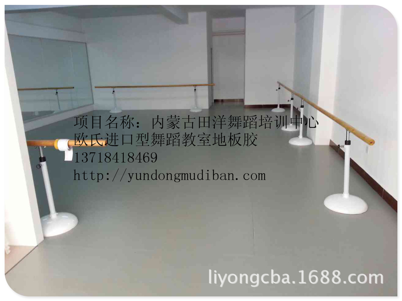 内蒙古田洋舞蹈培训中心_副本