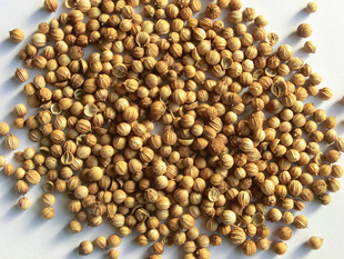调味香料-出口级香菜籽、手工精选，超高净度、可商检、可控制细菌、水分-调味香料尽
