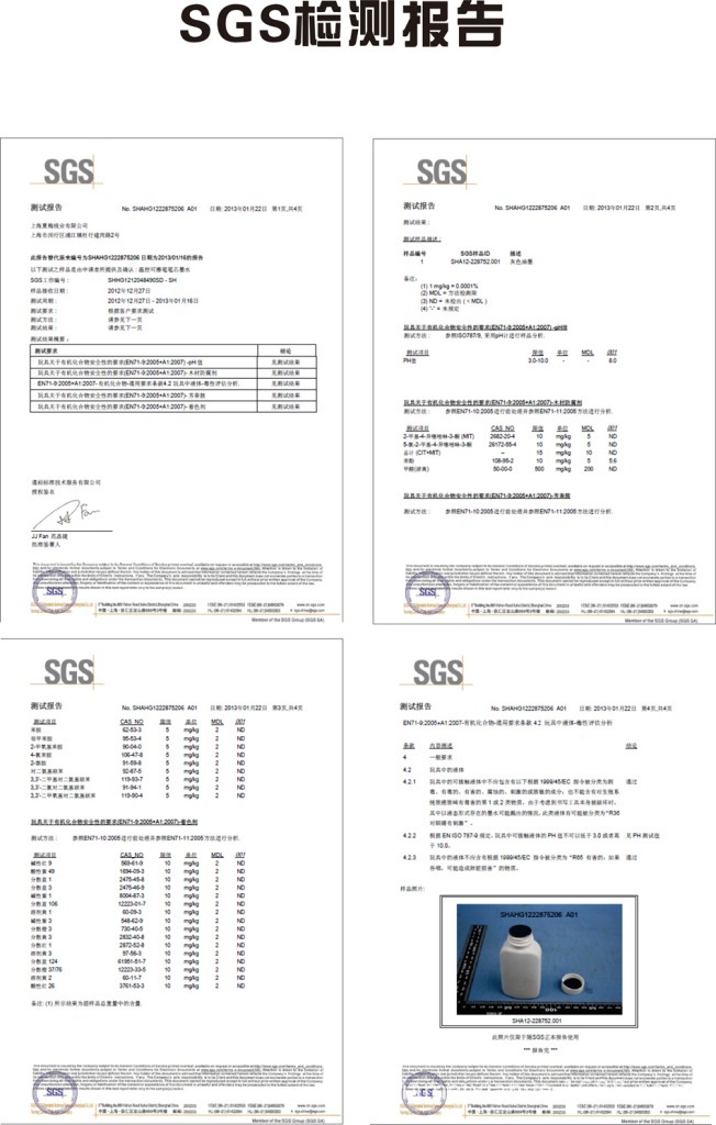 SGS整体报告_副本