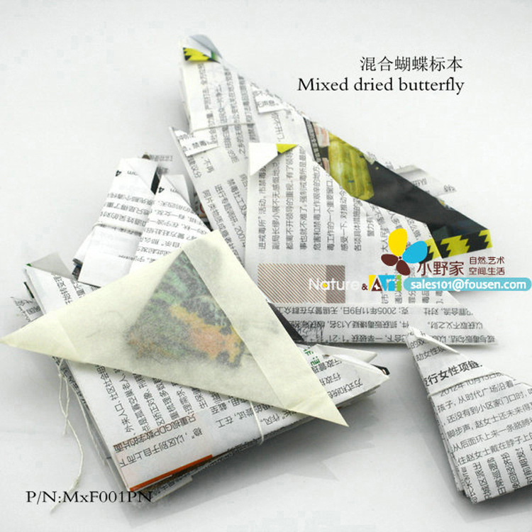MxF001PN-mixed dried butterfly