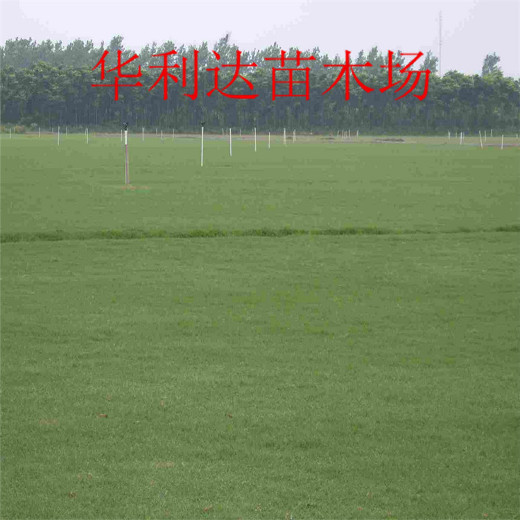QQ截图20140425150234