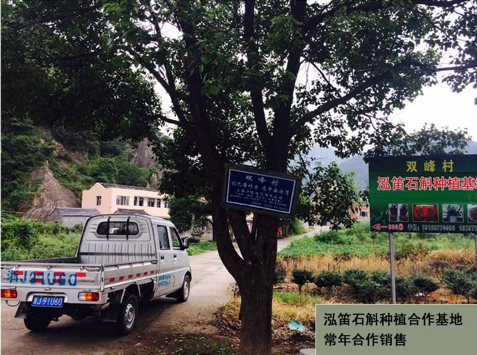 1基地