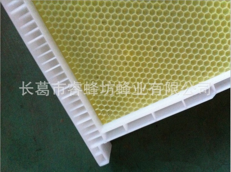 养蜂工具批发 优质塑料巢框巢础一体 20个\/箱