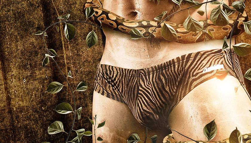 IS_SWMaB12026_Tiger_bri_01_140