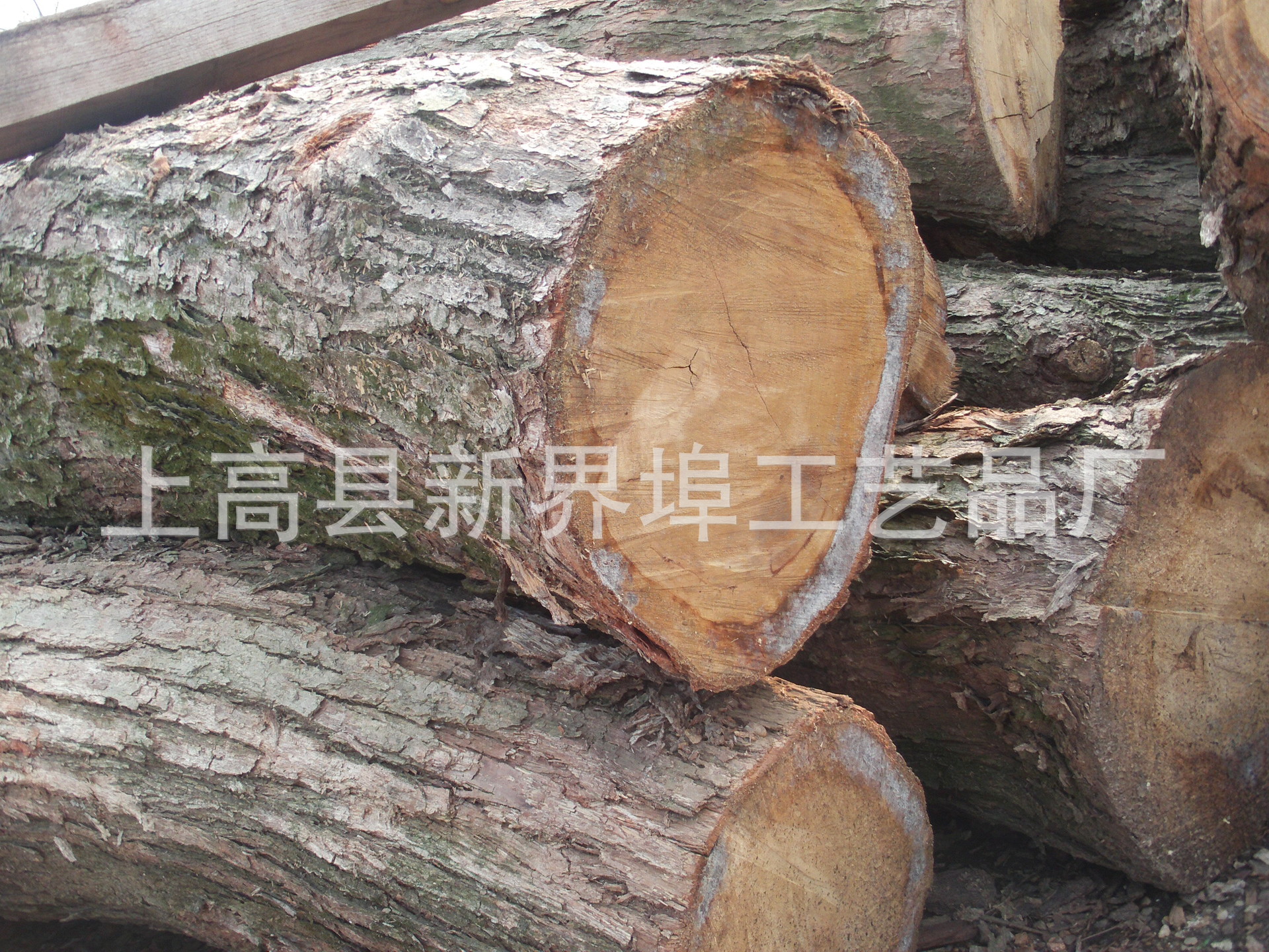 硬杂木 杂木 株木图片_9