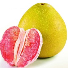 红心蜜柚_红心蜜柚价格_优质红心蜜柚批发\/采