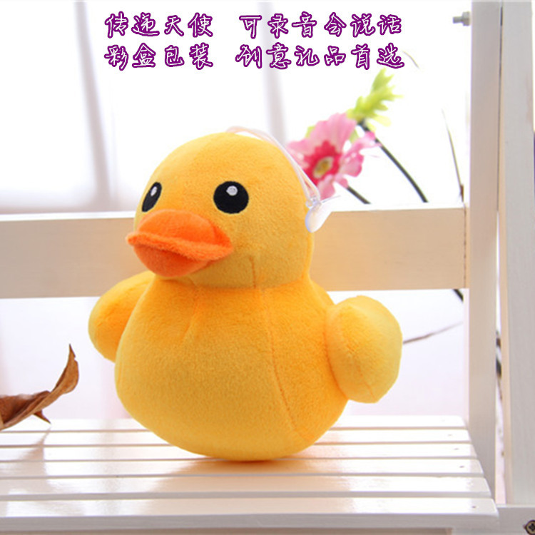 鴨子5